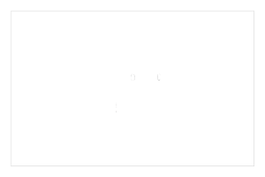 Black Octopus